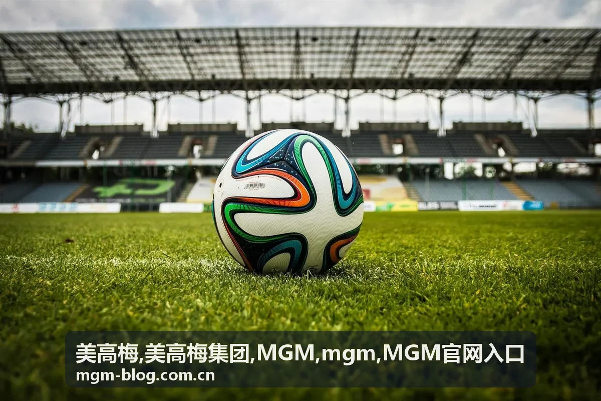 美高梅 MGM官网入口指南封面图
