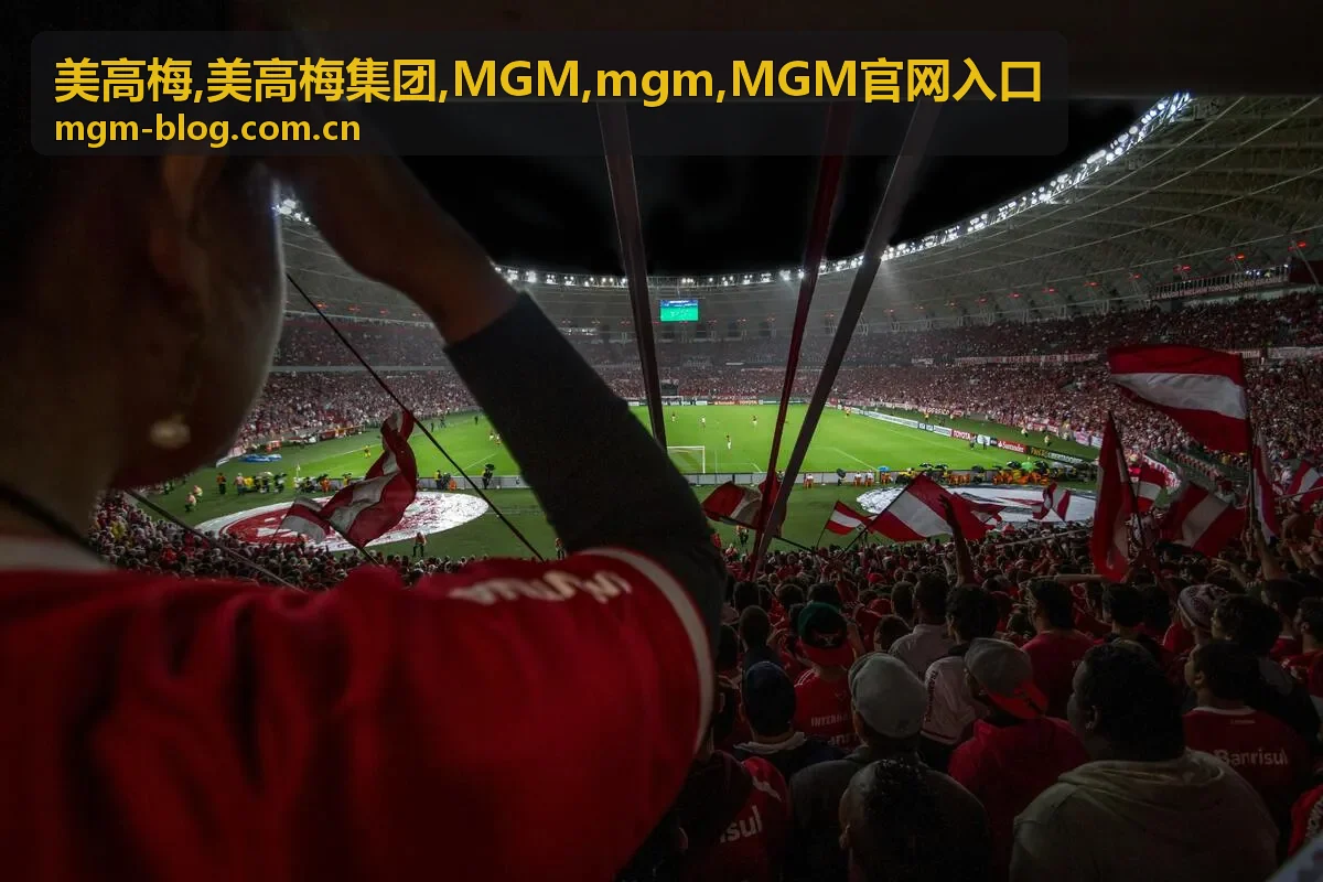 美高梅 MGM官网入口识别说明图