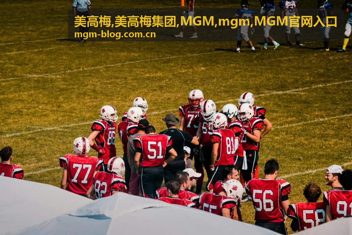美高梅集团资讯整理卡片