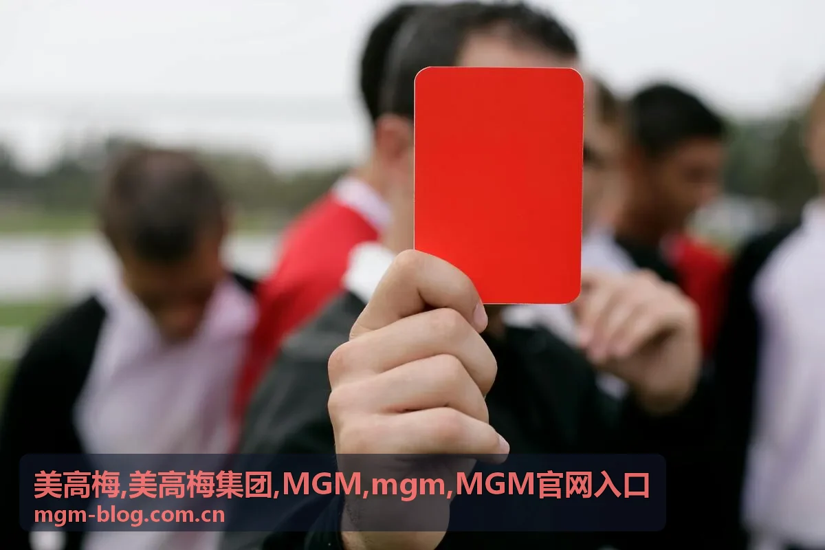 MGM官网入口说明卡片